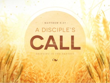 DisciplesCall