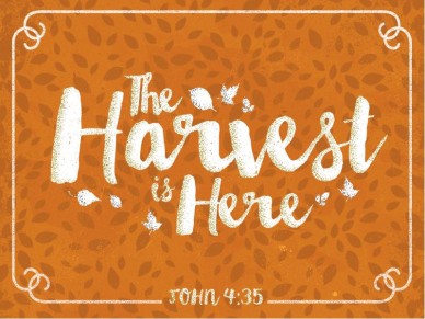 TheHarvest